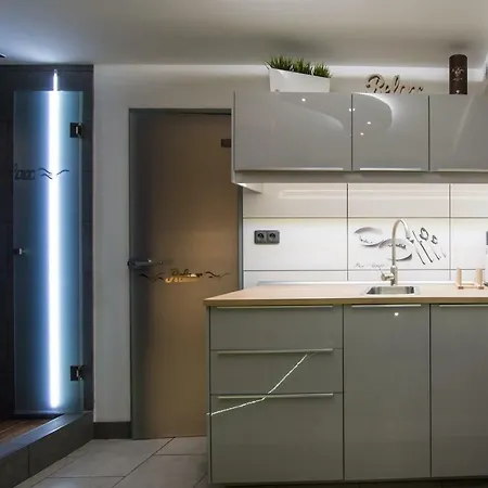 Wellness Relax Apartmán Český Těšín